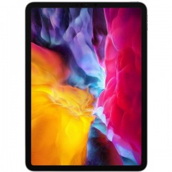 iPad Pro 11" (1e gén/2e gén)